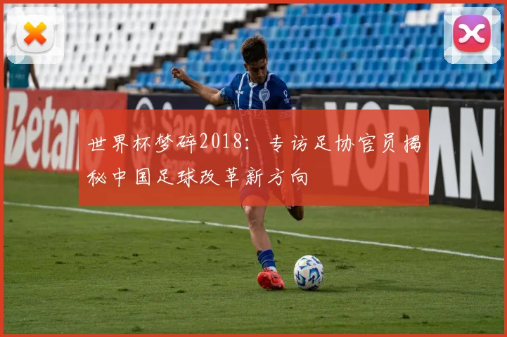 世界杯梦碎2018：专访足协官员揭秘中国足球改革新方向
