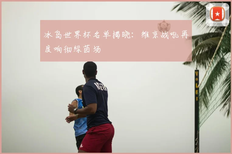 冰岛世界杯名单揭晓：维京战吼再度响彻绿茵场