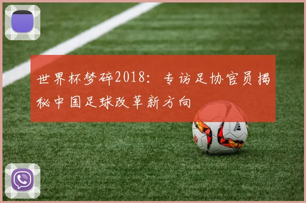 世界杯梦碎2018：专访足协官员揭秘中国足球改革新方向