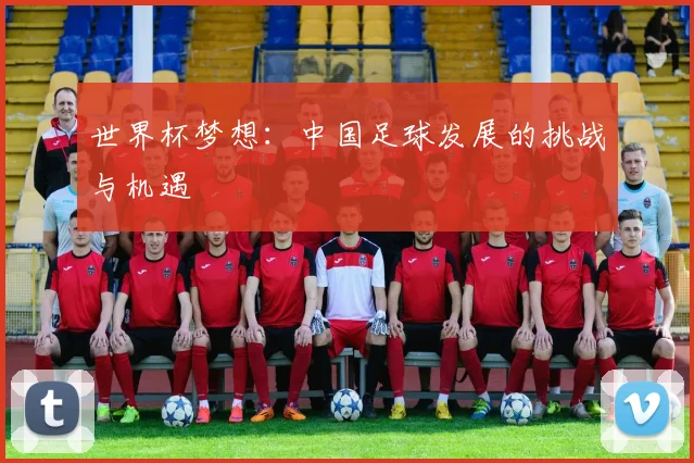 世界杯梦想:中国足球发展的挑战与机遇