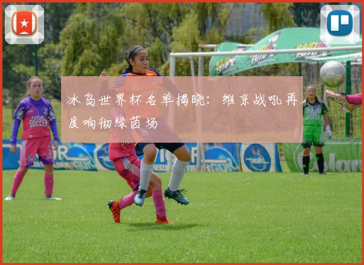 冰岛世界杯名单揭晓：维京战吼再度响彻绿茵场