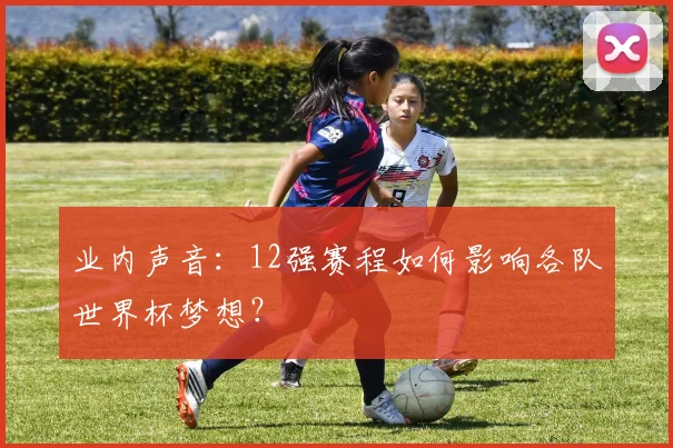 业内声音：12强赛程如何影响各队世界杯梦想？