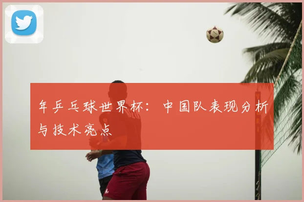 年乒乓球世界杯：中国队表现分析与技术亮点